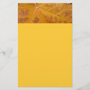 Gelbes Ahornblättern Herbst Abstrakte Natur Briefpapier