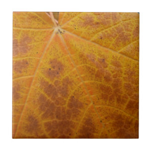 Gelbes Ahornblättern Herbst Abstrakte Natur Fliese