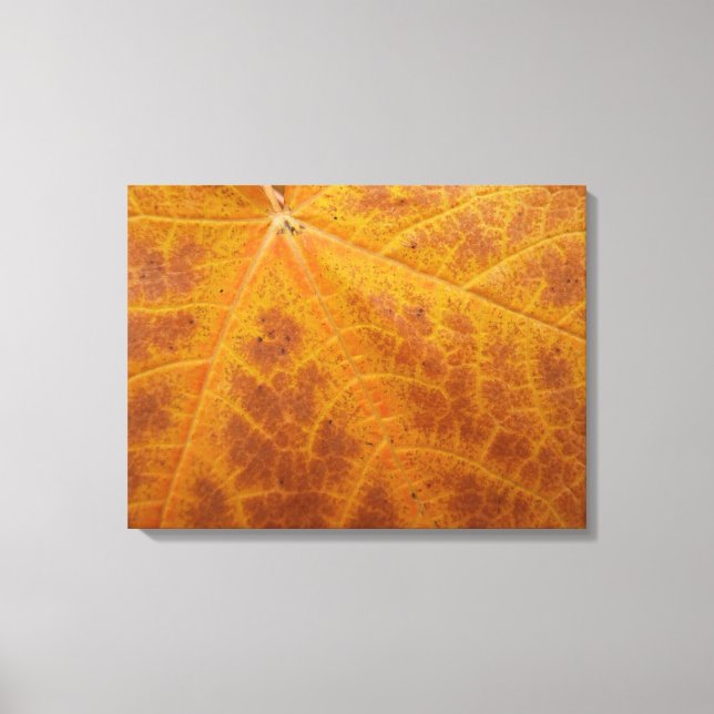 Gelbes Ahornblättern Herbst Abstrakte Natur Leinwanddruck (Vorderseite)