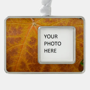 Gelbes Ahornblättern Herbst Abstrakte Natur Rahmen-Ornament Silber