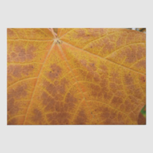 Gelbes Ahornblättern Herbst Abstrakte Natur Seidenpapier