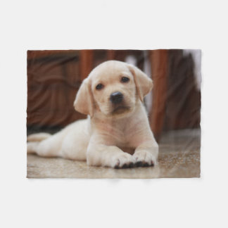Gelbes Baby-Labrador Welpenhund auf Bauch Fleecedecke