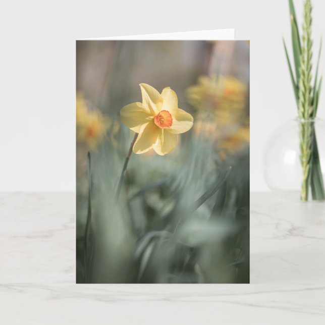 Gelbes Blossom Dinatriumnatur-Foto Karte (Vorderseite)