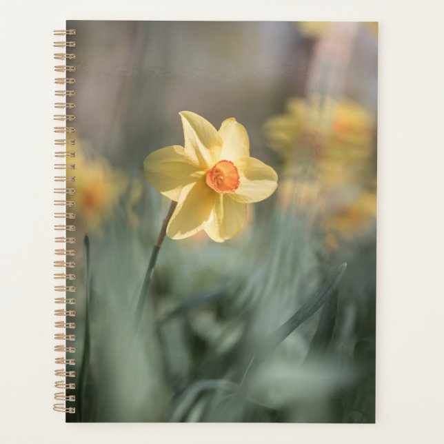 Gelbes Blossom Dinatriumnatur-Foto Planer (Vorderseite)