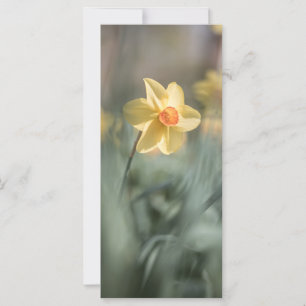 Gelbes Blossom Naturfotokarte