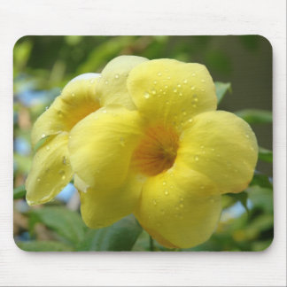 Gelbes Blume ~ Mousepad