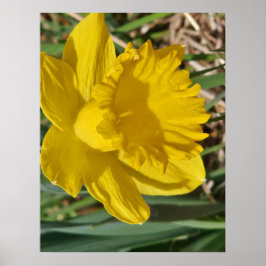 Gelbes Blumenposter Poster