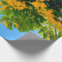 Gelbes Blütenpapier
