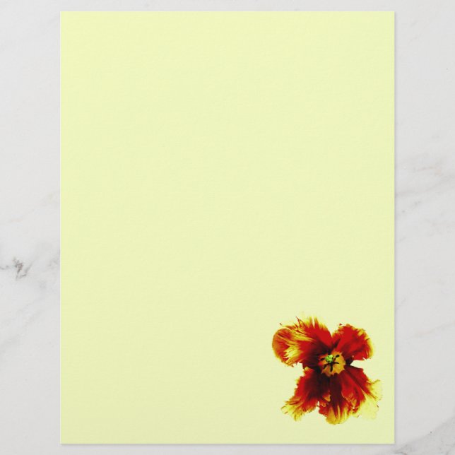 Gelbes Brown-Blume (Vorderseite)