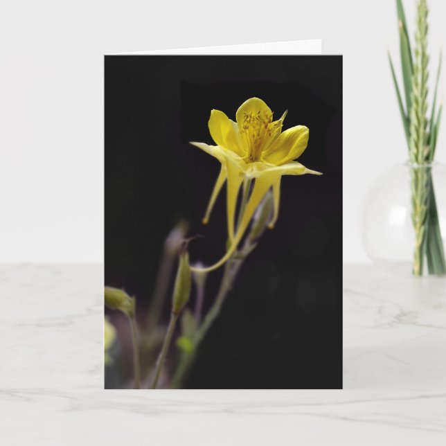 Gelbes Columbine Karte (Vorderseite)