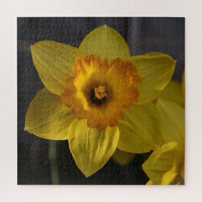 Gelbes Daffodil (Vertikal)