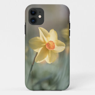 Gelbes Daffodil Nature Foto Case-Mate iPhone Hülle