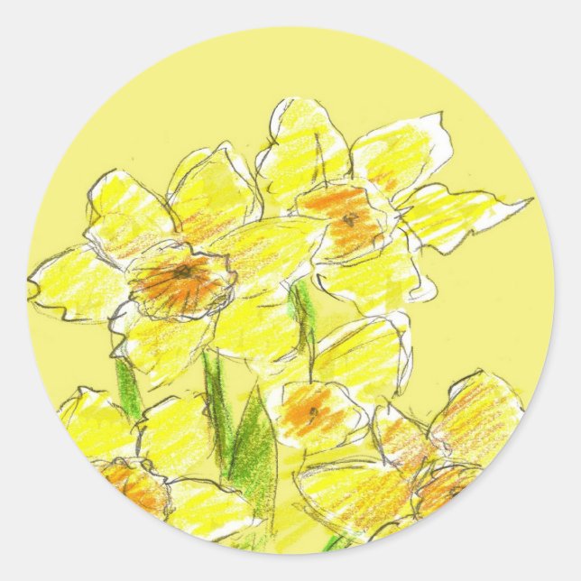 Gelbes Daffodium Zeichnend Wasserfarben Frühlingsb Runder Aufkleber (Vorderseite)