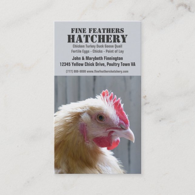 Gelbes Erbbüffelleder Orpington Huhn Visitenkarte (Vorderseite)