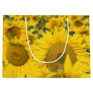 Gelbes Feld von Sonnenblumen Fotografie Große Geschenktüte