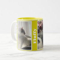 Gelbes Foto mit doppelter Hausnummer und Tasse mit