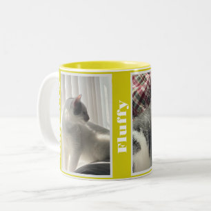 Gelbes Foto mit doppelter Hausnummer und Tasse mit