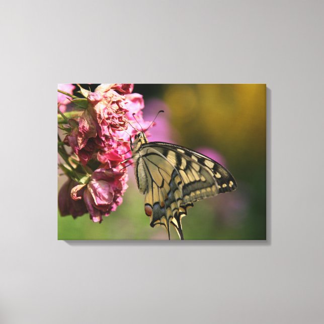 Gelbes Frack Butterfly-Leinwand Leinwanddruck (Vorderseite)