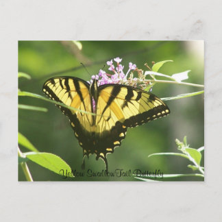 Gelbes Frack Butterfly Postkarte