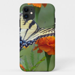 Gelbes Frack Ost-Tiger iPhone 11 Hülle