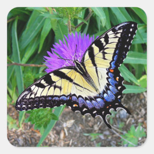 Gelbes Frack Schmetterling-Geschenkaufkleber Quadratischer Aufkleber