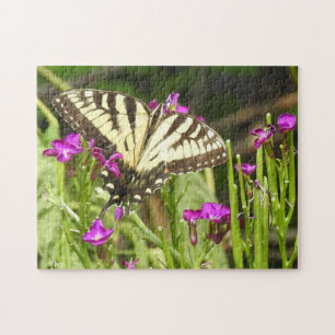 Gelbes Frack Schmetterling Rosa Blume