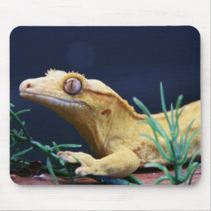 Gelbes Gecko-Stillstehen mit Haube Mousepad