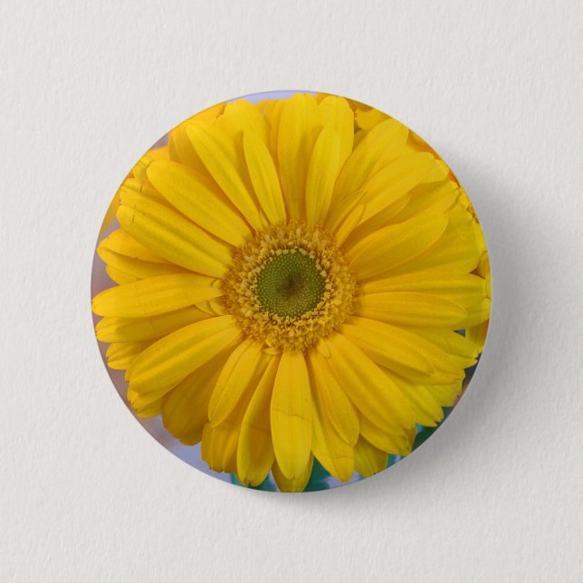 Gelbes Gerbera-Gänseblümchen Button (Vorderseite)