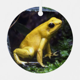 Gelbes Gift Dart Frog Metal Ornament