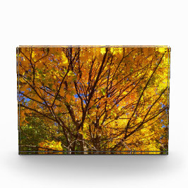Gelbes Herbstlaub Fotoblock
