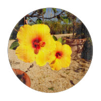 Gelbes Hibiskus Glasfaserkabel