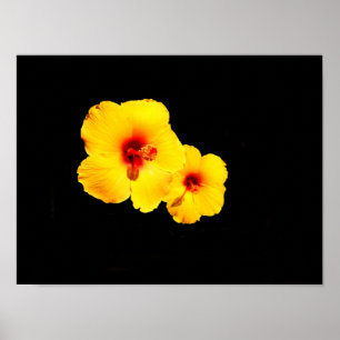 Gelbes Hibiskus-Plakat Poster