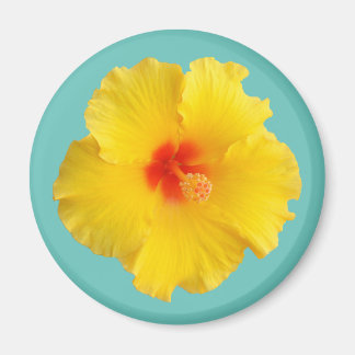 Gelbes Hibiskusblüten-Foto Magnet