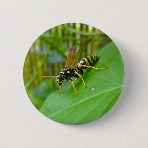 Gelbes Jacket-Abzeichen Button