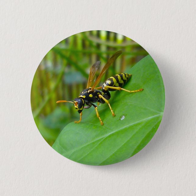 Gelbes Jacket-Abzeichen Button (Vorderseite)