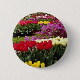 gelbes Keukenhof arbeitet, Amsterdam, die Button