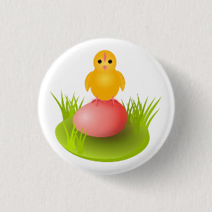 Gelbes Küken sitzt auf Ei und wartet auf seine Sch Button