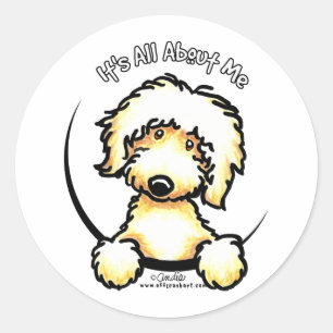 Gelbes Labradoodle IAAM Runder Aufkleber