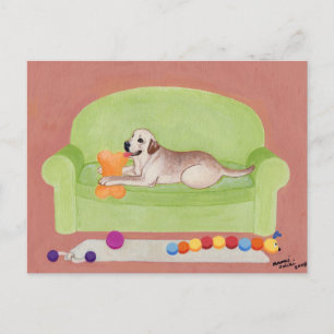 Gelbes Labrador auf dem grünen Sofa Postkarte