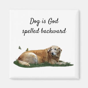 Gelbes Labrador gemischte Rasse Dog Magnet