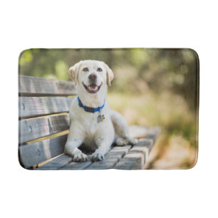 Gelbes Labrador liegt auf der Bank Badematte