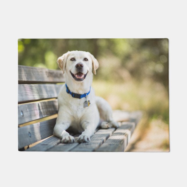 Gelbes Labrador liegt auf der Bank Fußmatte (Vorderseite)