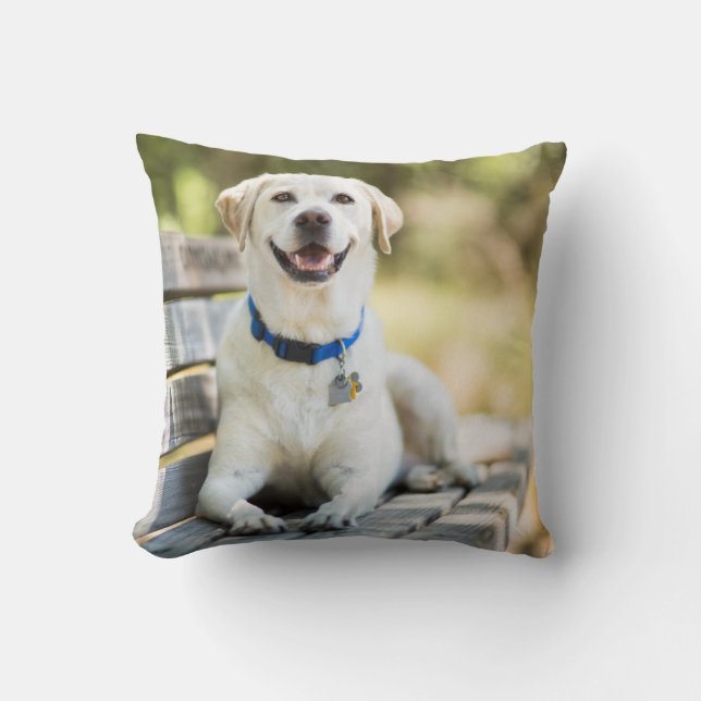 Gelbes Labrador liegt auf der Bank Kissen (Vorderseite)