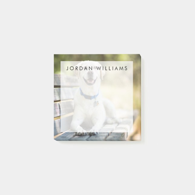 Gelbes Labrador liegt auf der Bank Post-it Klebezettel (Vorderseite)