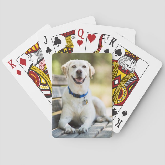 Gelbes Labrador liegt auf der Bank Spielkarten (Rückseite)