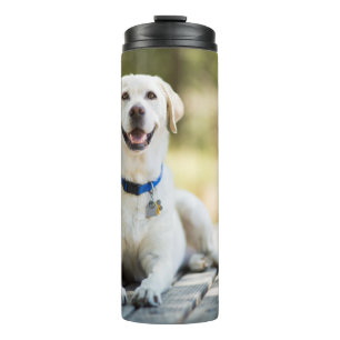 Gelbes Labrador liegt auf der Bank Thermosbecher