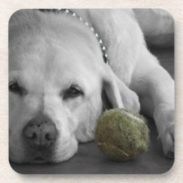 Gelbes Labrador mit altem Tennisball Untersetzer