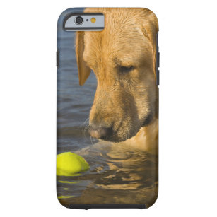 Gelbes Labrador mit einem Tennisball im Wasser Tough iPhone 6 Hülle