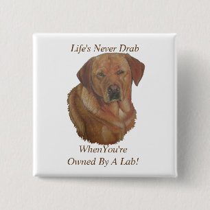 gelbes Labrador Retreider Hund Portrait Spaß Slog Button