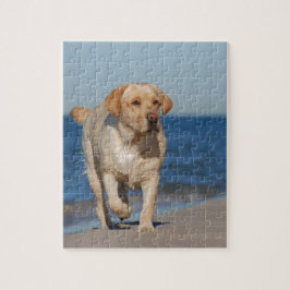 Gelbes Labrador Retriever am Strand